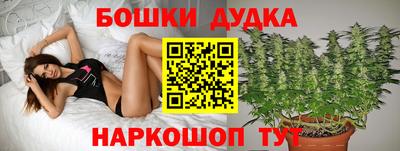 spice Краснодар