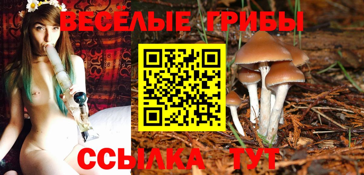 Псилоцибиновые грибы ЛСД  Вход с VPN  Ейск  Псилоцибиновые грибы Psilocybine cubensis 