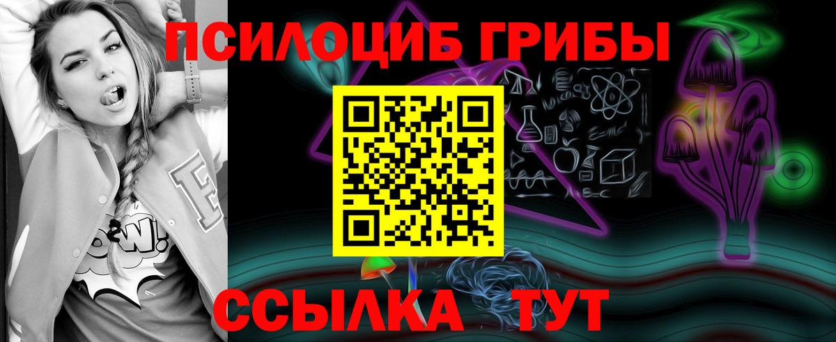 Псилоцибиновые грибы Cubensis Ейск